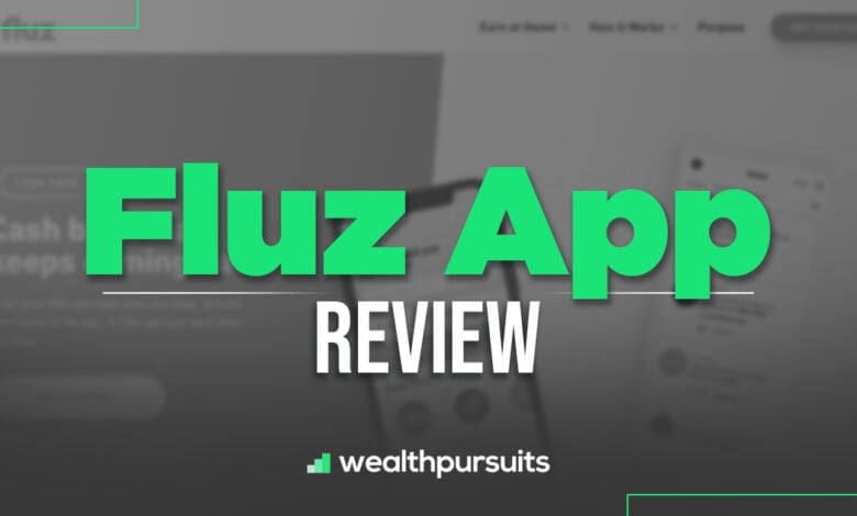 Fluz App Review